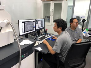 公共技術服務中心開展蔡司掃描電鏡培訓，提升技術服務水平
